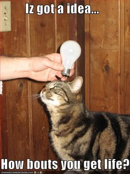 lightbulb idea photo: Idea Cat funny-pictures-lightbulb-cat-get-a-.jpg