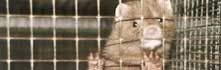 betYouPhoto041.jpg betYouPhoto041.jpg