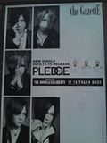 pledge poster