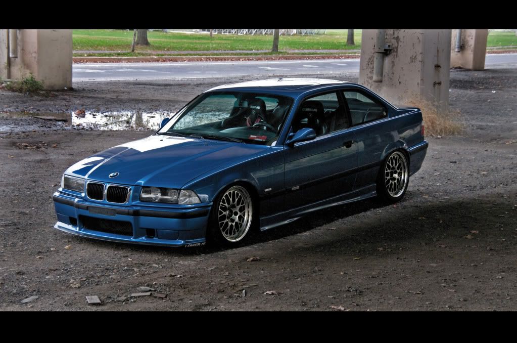 [Image: _DSC1668.jpg]