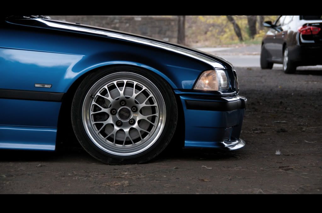 [Image: _DSC1681.jpg]