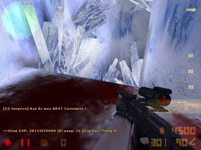 de_survivor0000.jpg