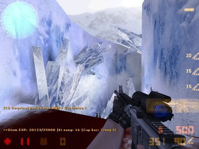 de_survivor0002.jpg