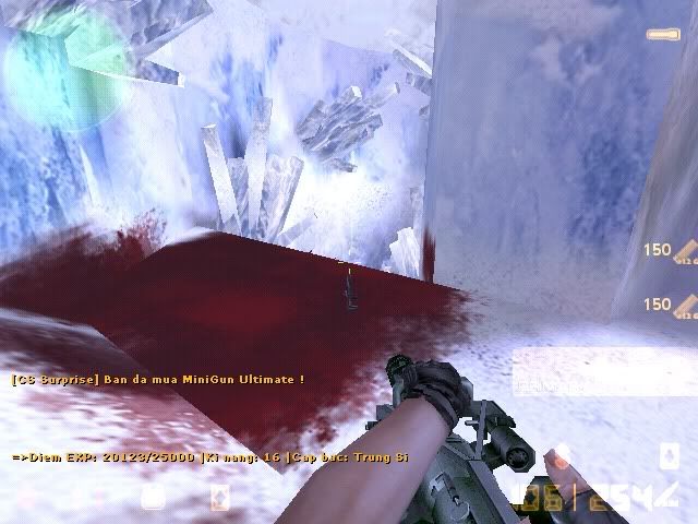 de_survivor0007.jpg