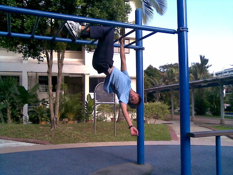 Hanging monkey bar photo Image223.jpg