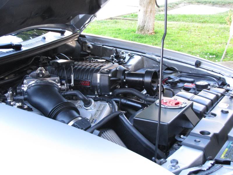 [Image: IMG_0636.jpg]