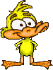 Duckie