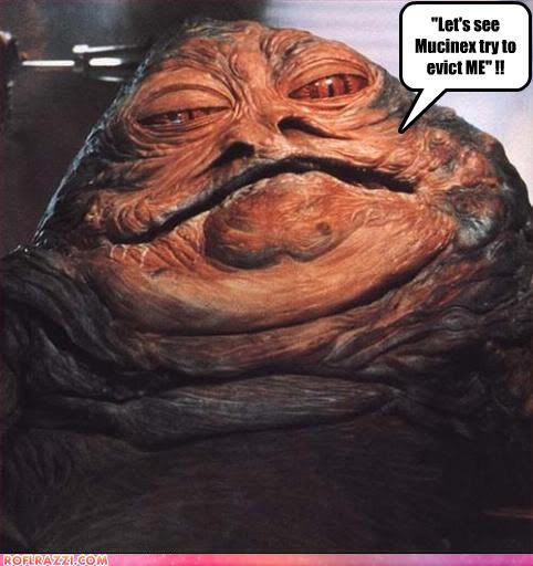 celebrity-pictures-jabba-the-hut-1.jpg
