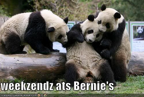 Panda weekend at bernies Pictures, Images and Photos