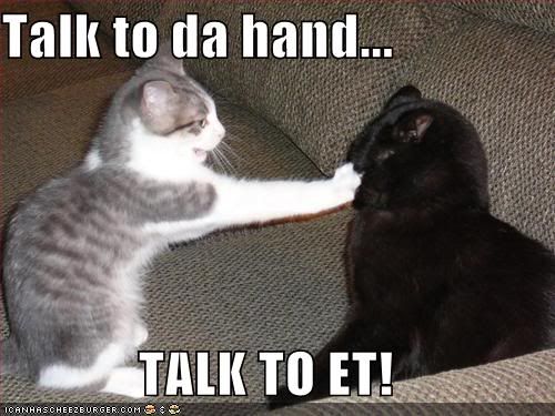 funny-pictures-cat-talk-to-the-hand.jpg