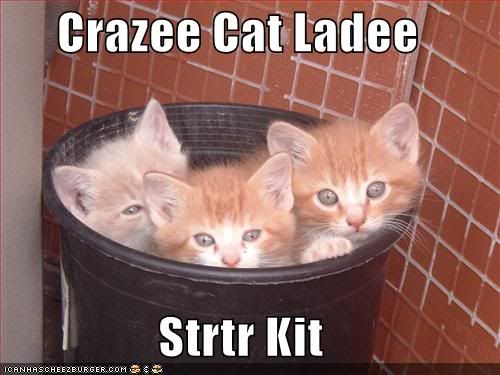 funny-pictures-crazy-cat-lady-start.jpg