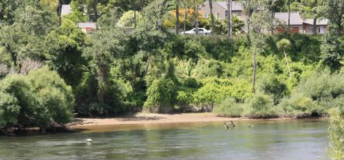Riverbank1.jpg