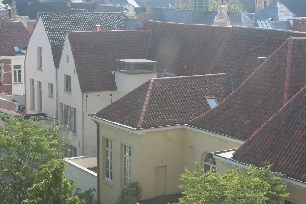 zicht vanop dak kliniek op omringende huizen in de stassartstraat