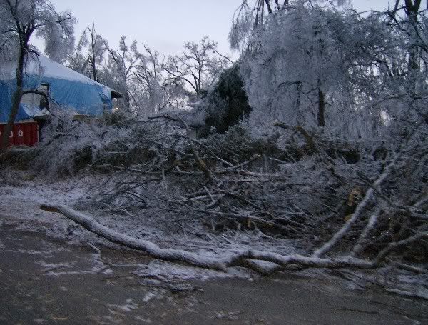 HPIM0342600x455.jpg