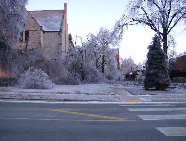 HPIM0351600x455.jpg