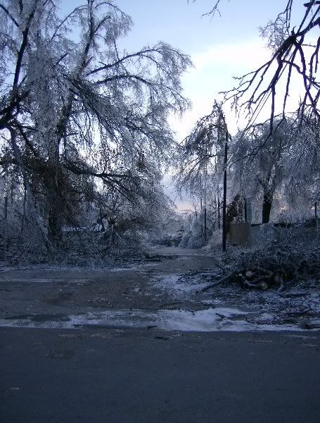 HPIM0371455x600.jpg