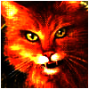 Jaypaw Avatar