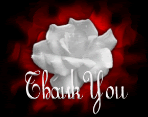 white rose flashing red thank you Pictures, Images and Photos