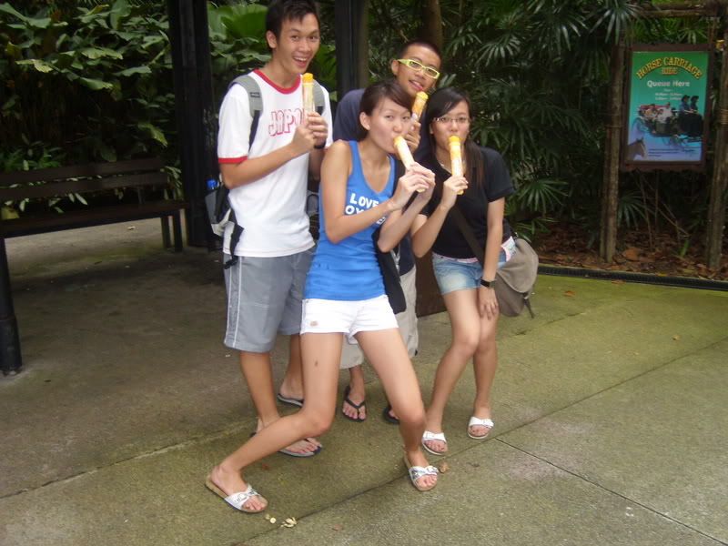 Photo Sharing and Video Hosting at Photobucket