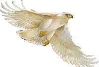 Flying White EAGLE