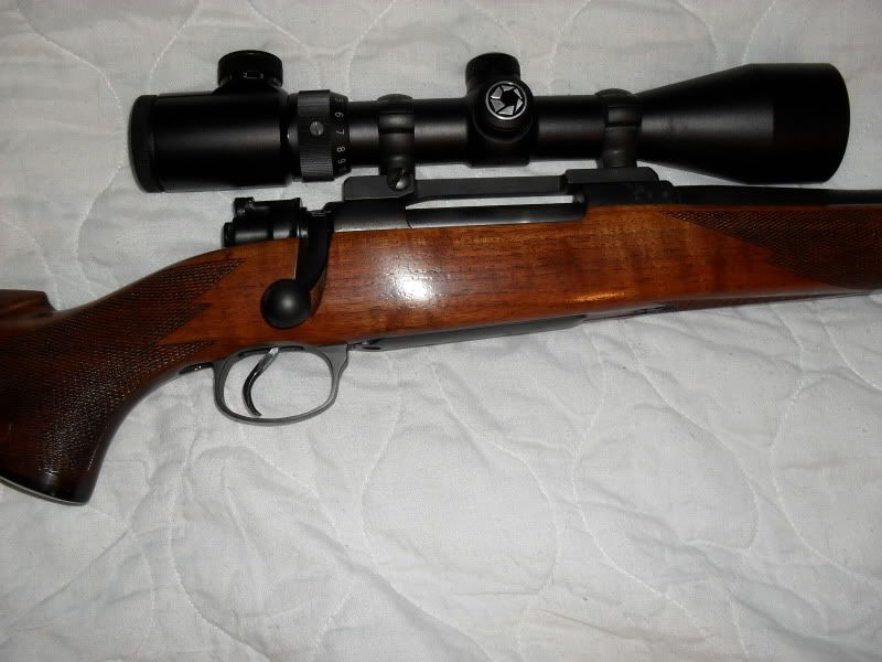 Rifles003.jpg