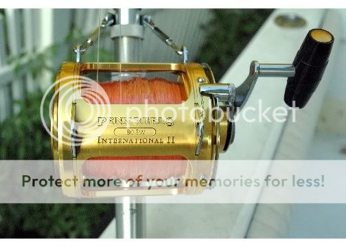 Penn international 80sw Clearance