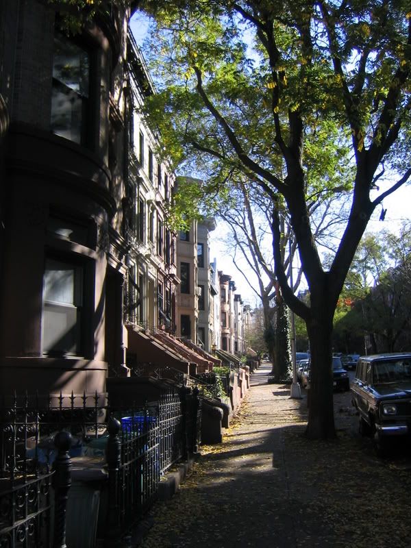 brooklyn brownstones photo: Brooklyn Brownstones IMG_0609.jpg