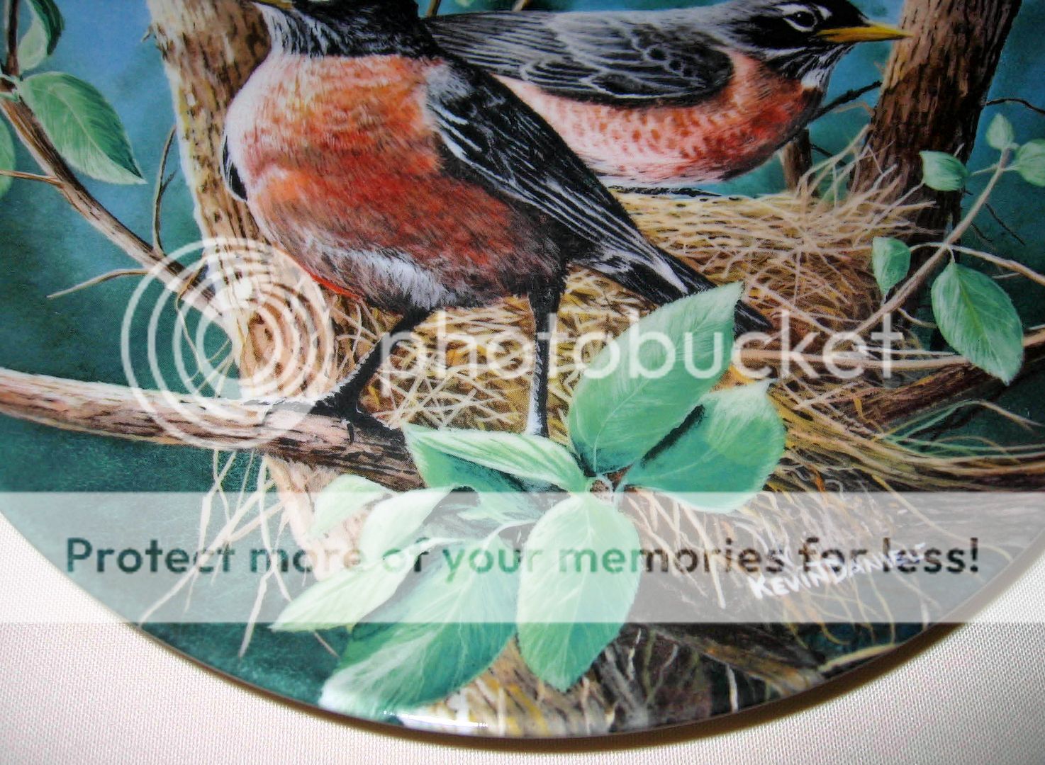 Kevin Daniel Birds Of Your Garden ROBIN Plate Bx+COA  