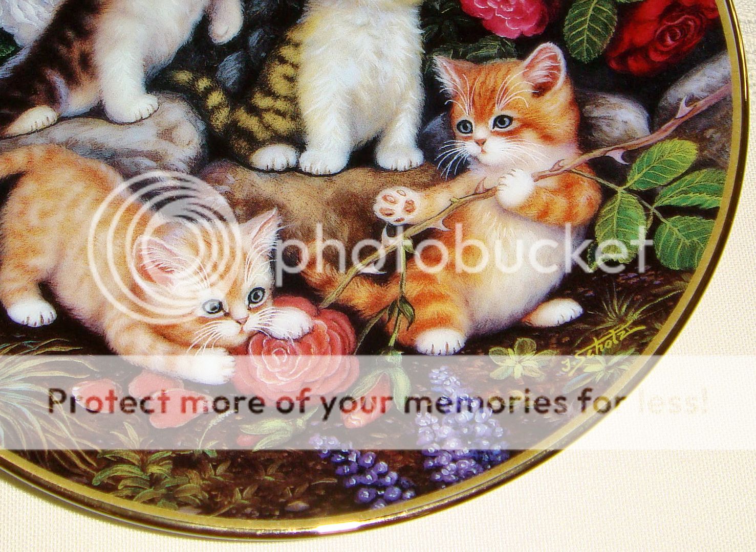   Timeless Tails Kittens MAY AT ROSE ARBOR Calendar Plate [Plus COA